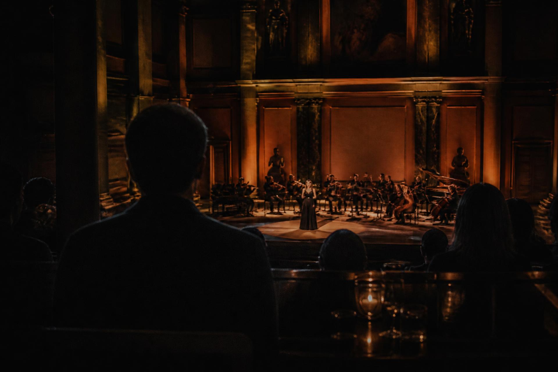 Intimate private concert with an orchestra and soloist